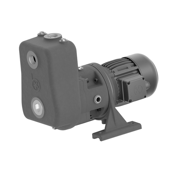 https://brinkmann3.ringfeder.org.cn/