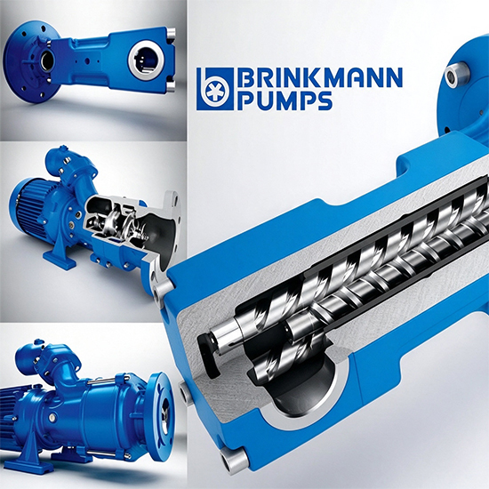 https://brinkmann3.ringfeder.org.cn/
